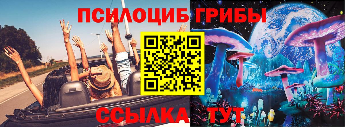 Артём  Псилоцибиновые грибы GOLDEN TEACHER  Вход с VPN 