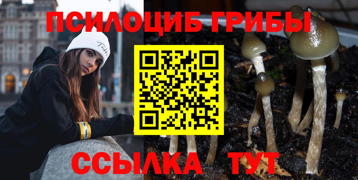 Галлюциногенные грибы Magic Shrooms Артём